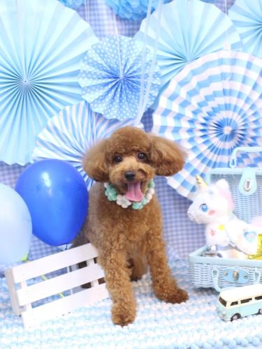 20231129レオくん